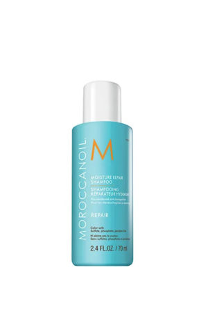 Восстанавливающий шампунь Moisture Repair Shampoo 70 мл